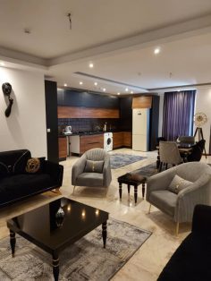 آپارتمان تکخواب مبله .پونک (شهرک نفت)